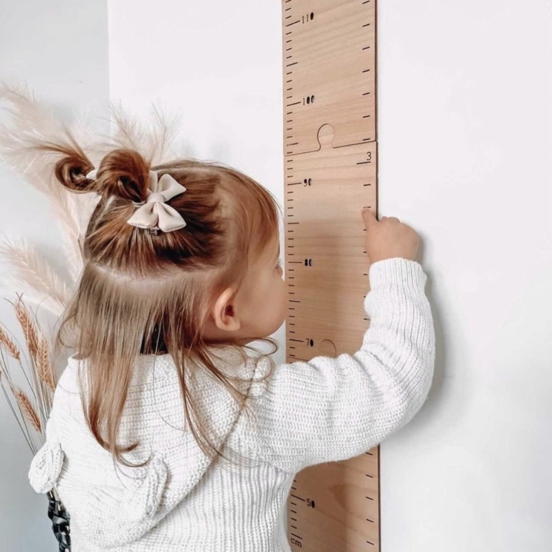 Penggaris pertumbuhan tinggi b - Growth Chart Ruler ulasan dan harga
